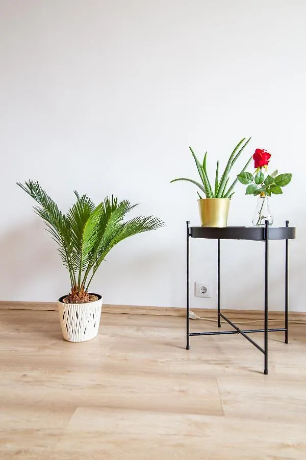 Best Rated Central Apartment Vienna - Ac, Wifi, 24H7Days Self Check-In, Board Games, Netflix 0*,
